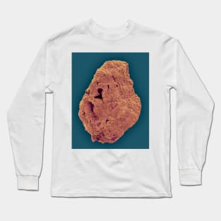 Kidney stone, SEM (C031/9839) Long Sleeve T-Shirt